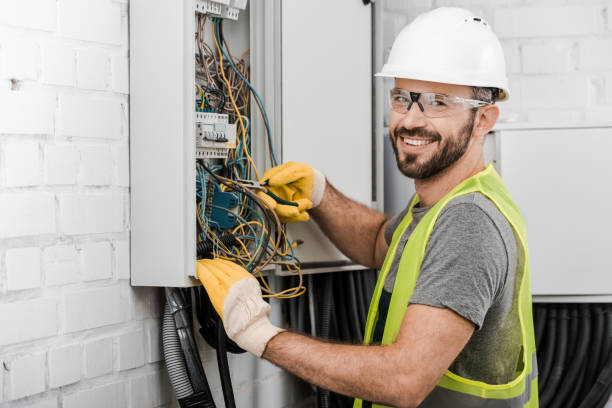 Best Electric Panel Repair  in Stewartville, MN