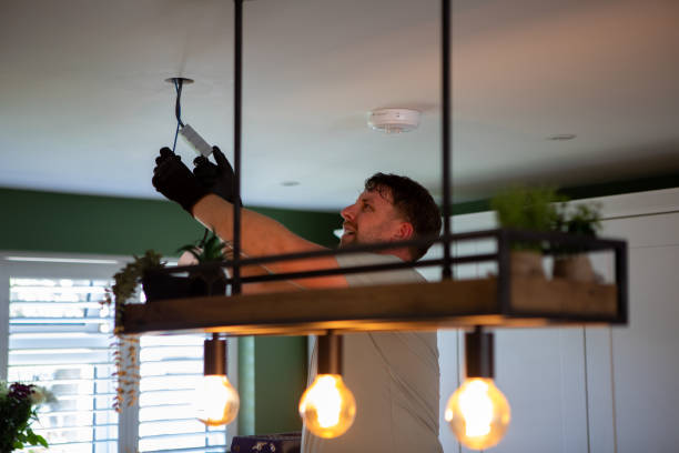 Best Ceiling Fan Installation Electrician  in Stewartville, MN